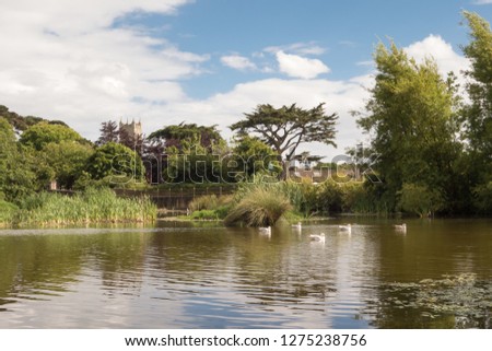 Tranquil duck pond surrounded by trees and five seagulls on the water at Skerries, County Dublin, Ireland on a Summer's day.