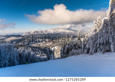 Covered winter trees with fresh snow in Caropathian Mountains, Predeal, Romania
