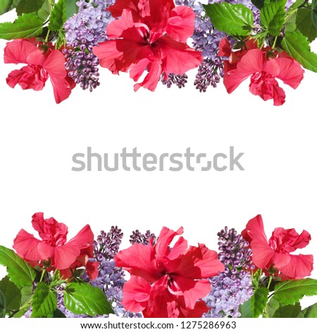 Beautiful floral background of Chinese rose and lilac 