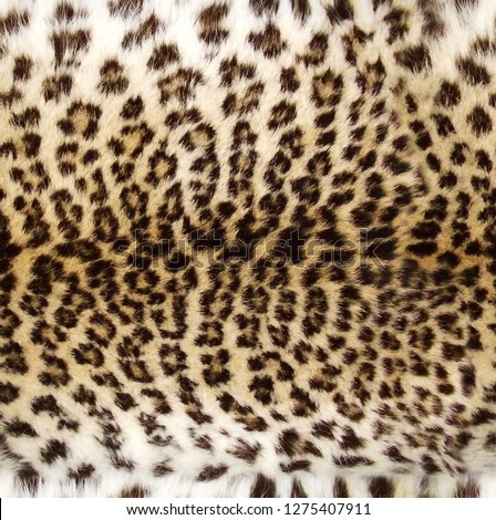 Seamless leopard pattern, background or texture