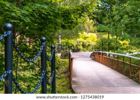 Colorful Photo of the Bridge in a Park, Between Woods - with Blurred Park Benches in the Background with Space for Text, Sunny Autumn day