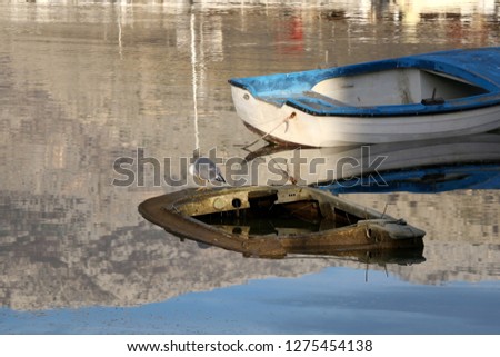Small rusty boat sinking in the shallow sea. Seagull standing on the boat. Reflection of mountain in the background.