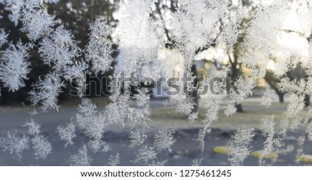 A romantic winter screen in a chilly december morning, a view from a car frosty glass window, feeling cold, winter atmosphere, Christmas holidays, freezing weather, icy roads, snowflakes, rime   