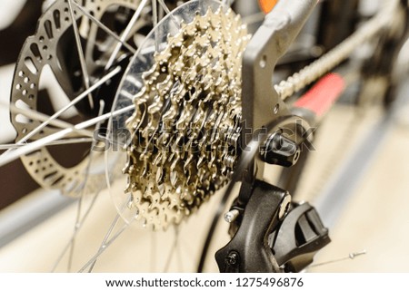 Gear cassette of a clean bicycle.