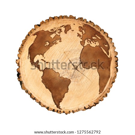 World map of earth showing north america and south america on a round cut tree
