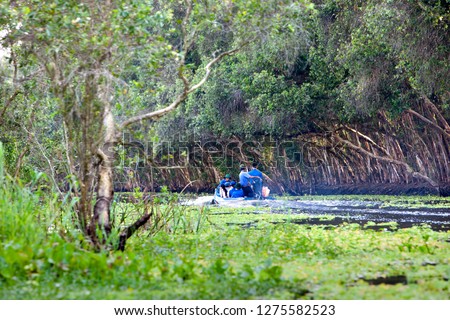 
An Giang Province, Vietnam - November 18, 2017: Sailing boat in Tra Su flooded indigo forest trees, a preserved forest in the Mekong Delta. Located in Van Giao commune, Bien Bien district