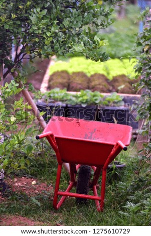 red wagon and vegetable field