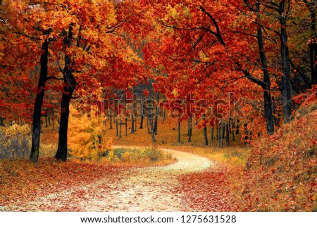 Colorful autum 2019 Royalty-Free Stock Photo #1275631528