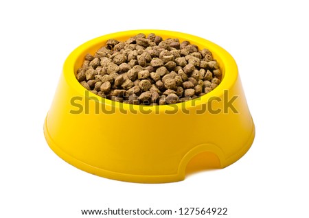 Dry cat food in yellow bowl isolated on white background