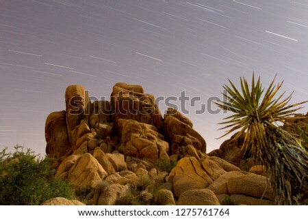Mojave Desert,  Joshua Tree National Park, California, USA