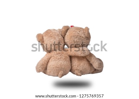 Bear lovers, family love Isolated from the background clipping part
