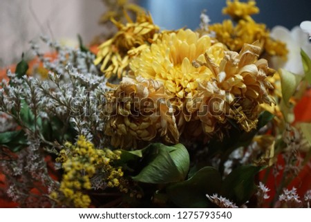 composition with dry flowers