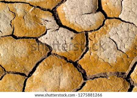 Cracked mud, Hyden Rock, Western Australia, Australia.