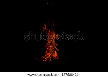 Fire flames on Abstract art black background, Burning red hot