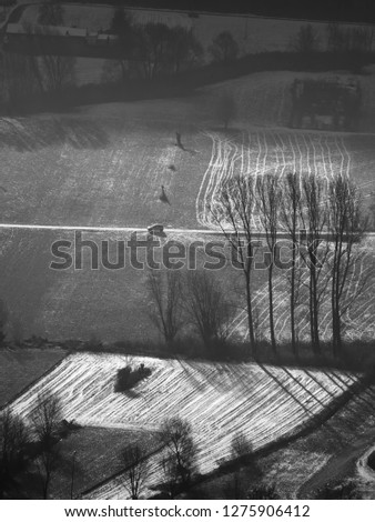Patterns on the Valtellina fields in winter