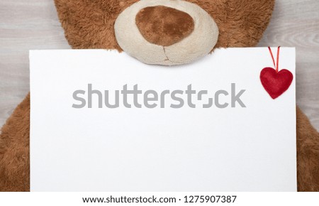 Teddy bear holding white board with hearts. Happy valentine's day. Love and present concept. 