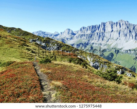 Autumn alpine lawns over the Urner Boden valley - Canton of Uri, Switzerland