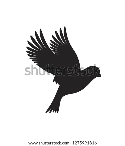Canary silhouette. Isolated canary on white background. Bird