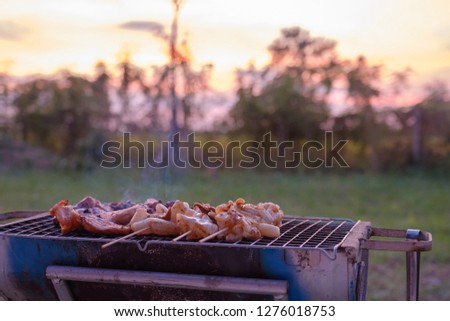 Food grilling on the barbecue grills in the garden in the evening. Royalty-Free Stock Photo #1276018753