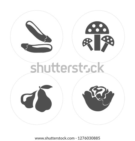 4 Courgette, Pear, Mushroom, Cabbage modern icons on round shapes, vector illustration, eps10, trendy icon set.
