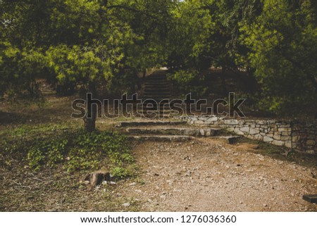 park outdoor symmetry photography with ground trails path way for walking to stone upstairs place in shadows under trees