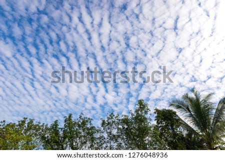 Blue sky with clouds over the trees