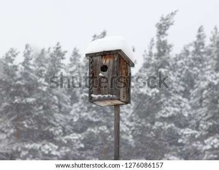 Birdhouse in winter. House for birds under the snow. Close up.