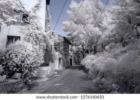 a street view with foliage infrared photo in izmir turkey