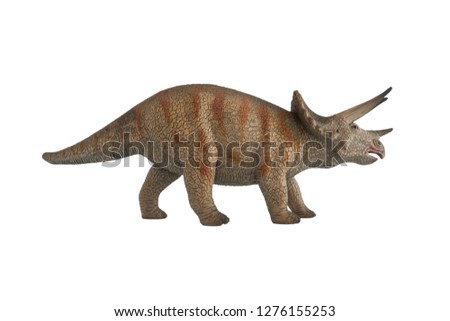 Triceratops isolated on white background