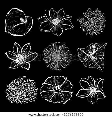 Decorative hand drawn flowers set, design elements. Can be used for cards, invitations, banners, posters, print design. Floral background in line art style