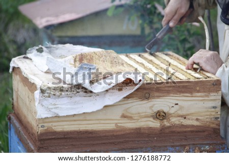 beekeeper working on the apiary