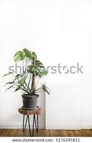 Interior poster painting mock up with empty canvas standing on wooden floor and plant in room with white wall. Interior design photography with copy space