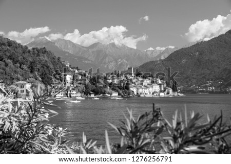 Malcesine and Lago di Garda aerial view , Veneto region of Italy