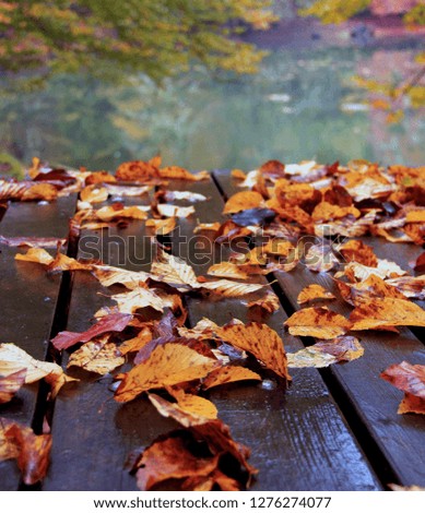 Fallen leaves on a wooden table in autumn