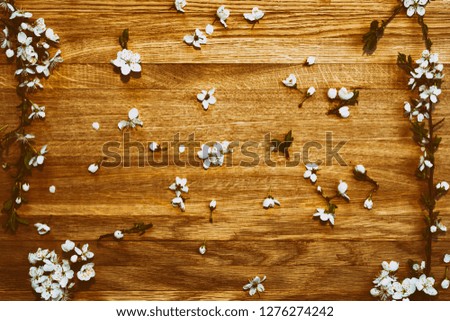 Background design of the twigs and flowers of a flowering spring tree on a plank surface.Plum blossom frame for festive decoration