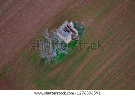 Aerial view of  trees  in the farm land, Mallorca lands, Balearic Island, Spain.