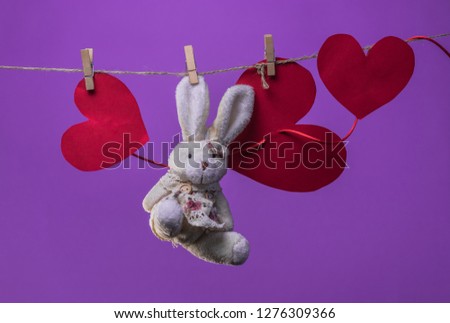 Toy Rabbit are suspended from the rope clothespins on a background of white clouds