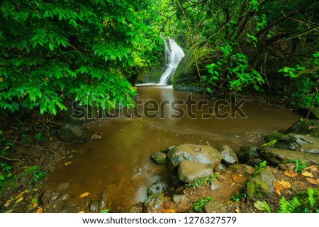 Wigmore's waterfall also known as Papau waterfall on Rarotonga in the Cook Islands