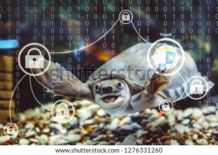 Amusing turtle click on touchscreen on blue background of matrix with copy space. Funny animal in virtual reality close-up. Firewall management in network. Amazing happy turtle with digital interface.