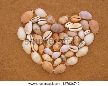 Heart of seashells