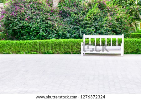 Romantic white bench in front of a hedge with roses and lavender