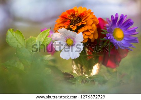 Close-up of beautiful autumn bright multicolored field flowers composition in transparent glass vase outdoors on blurred sunny bokeh copy space background. Postcard theme, beauty and fantasy concept.