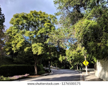 winding El Molino Avenue (right) and Elliott Drive (left) in the southern part of Pasadena, view towards north. The landscape is very green, full of trees and grass. Bright winter day, partly cloudy.