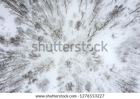aerial top view of the forest in winter. winter landscape after snowfall