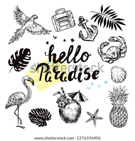 Calligraphy lettering hello paradise and hand drawn sketch illustration summer elements