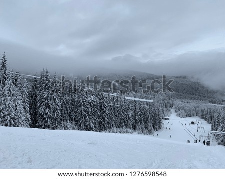 Winter landscape with slopes and trees covered in snow