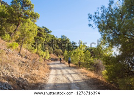 Two men walking in Lycian Way Antalya Turkey. Trekking in nature. Two friends walking and talking on a path.