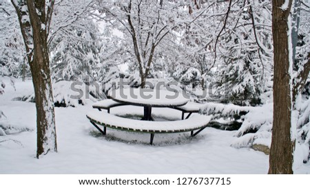 bench in snowy forest