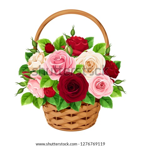 Vector basket with red, burgundy, pink and white roses isolated on a white background.