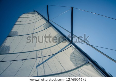 Modern Sailing boat white sails